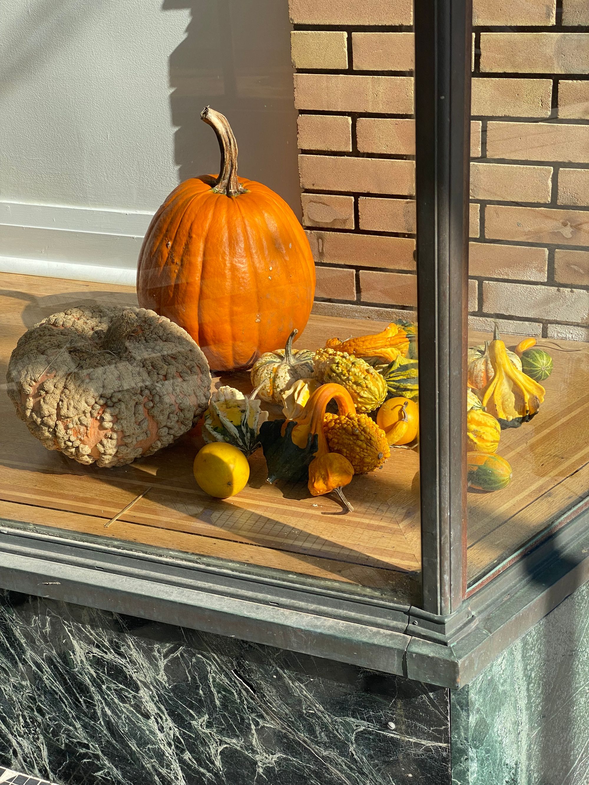 Window display with gourds and pumpkins.