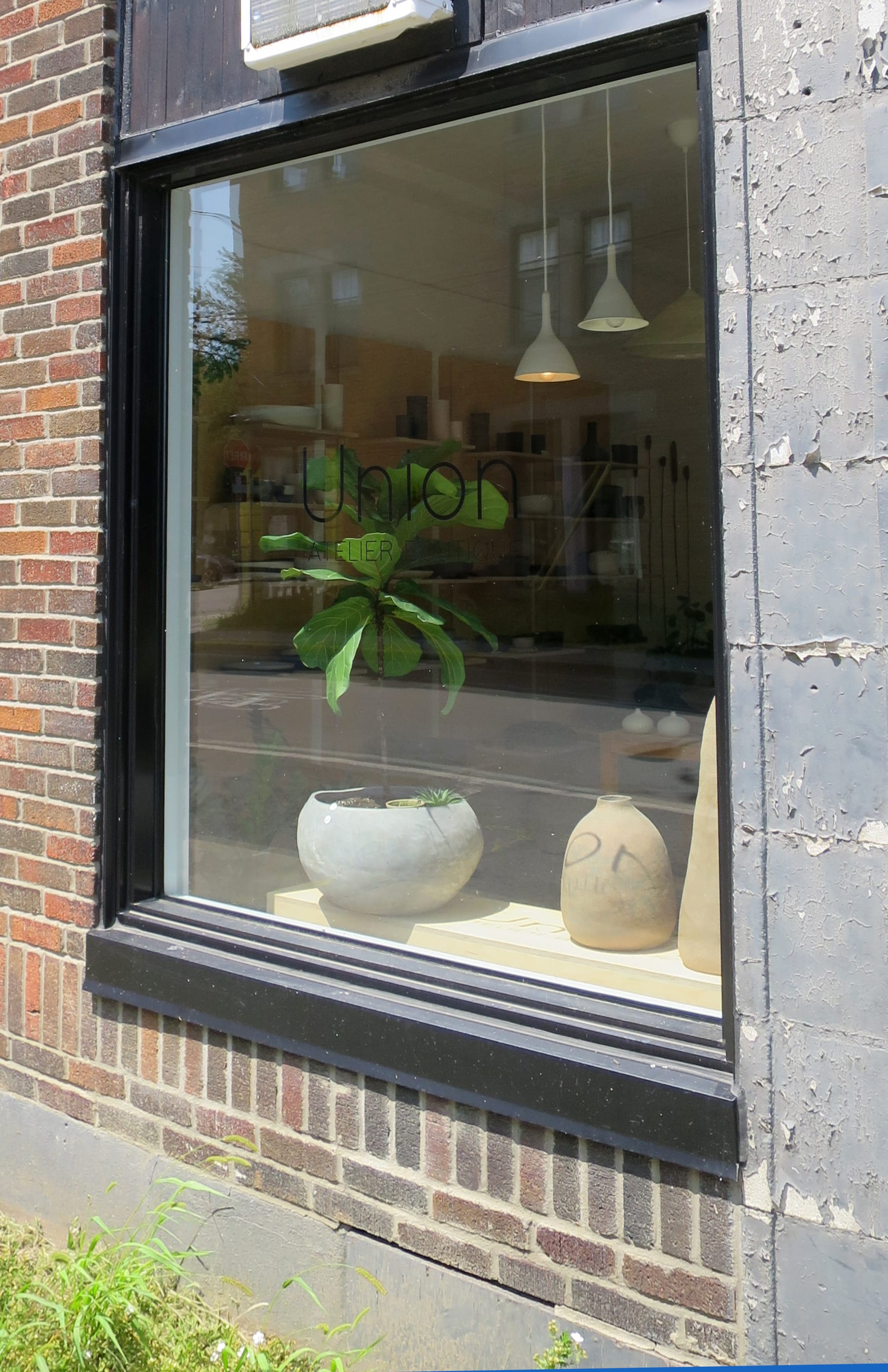 Handmade vessels in a shop window, one containing a fiddle-leaf fig tree.