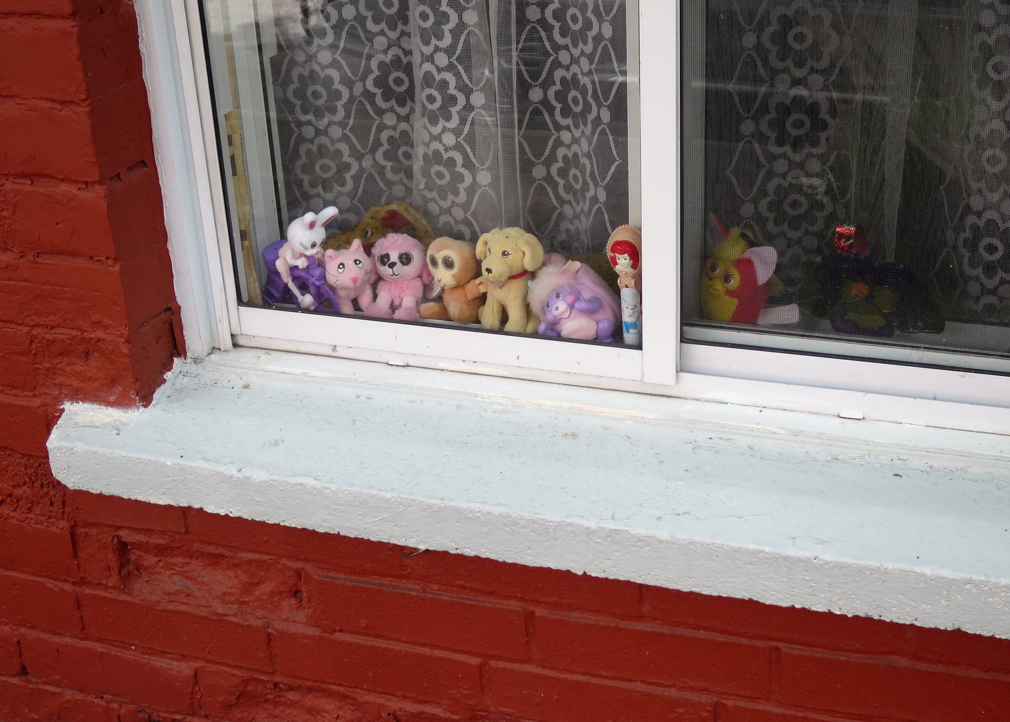 Cute toys in a line, looking out of a window.