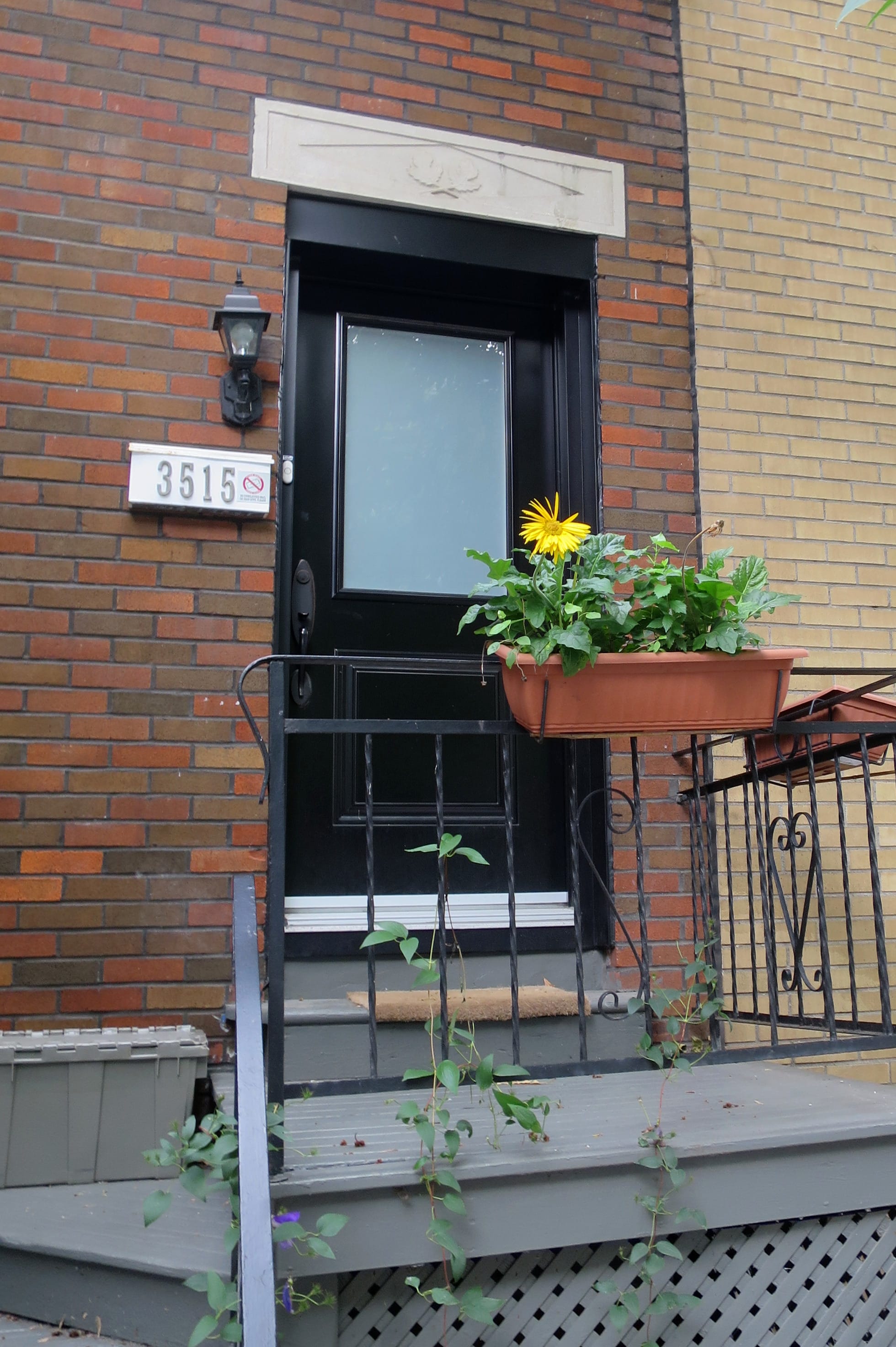 A single yellow flower in a box attached to a porch railing.