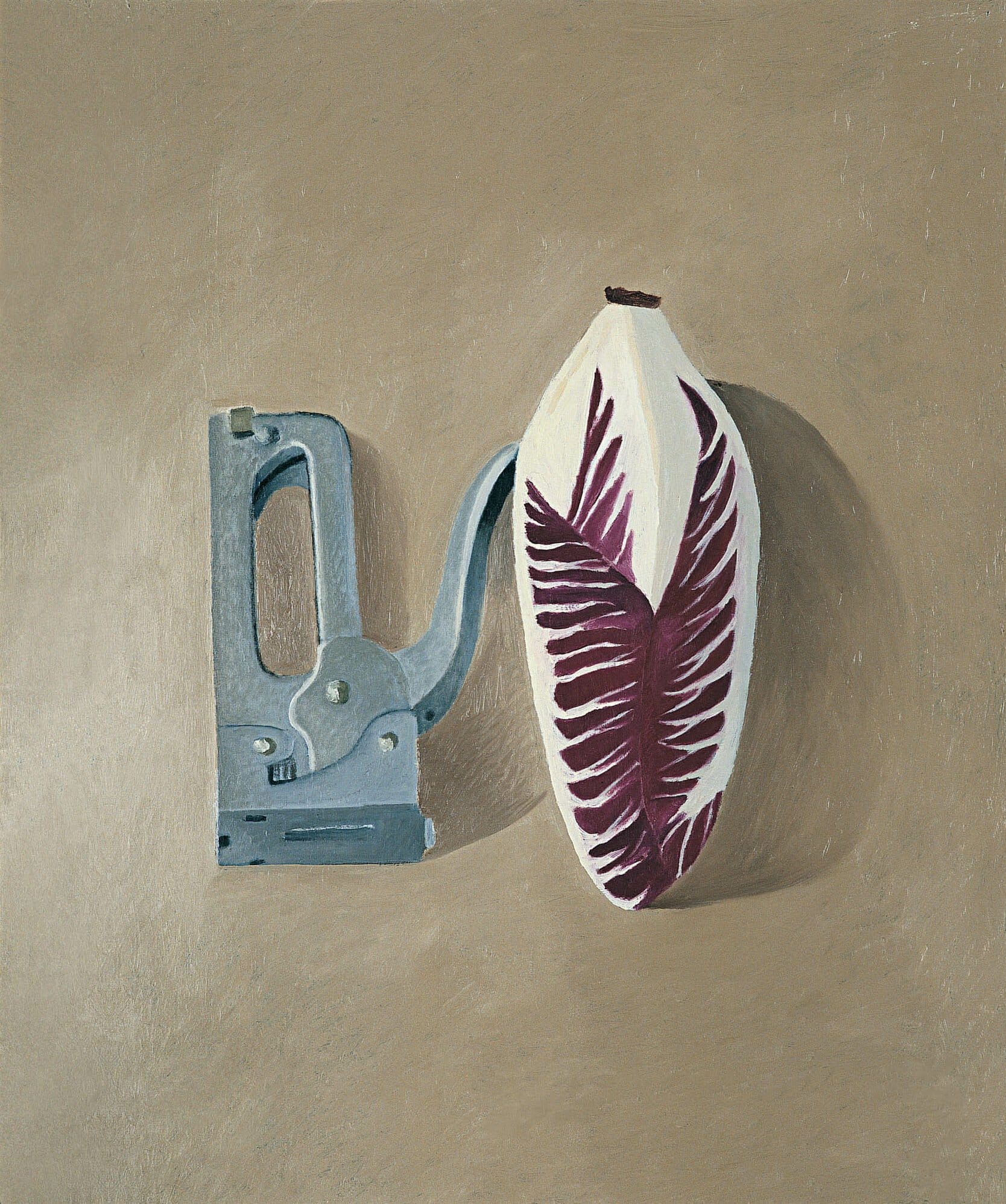 Painting of two things side by side, a metal stapler on the left and an endive on the right.