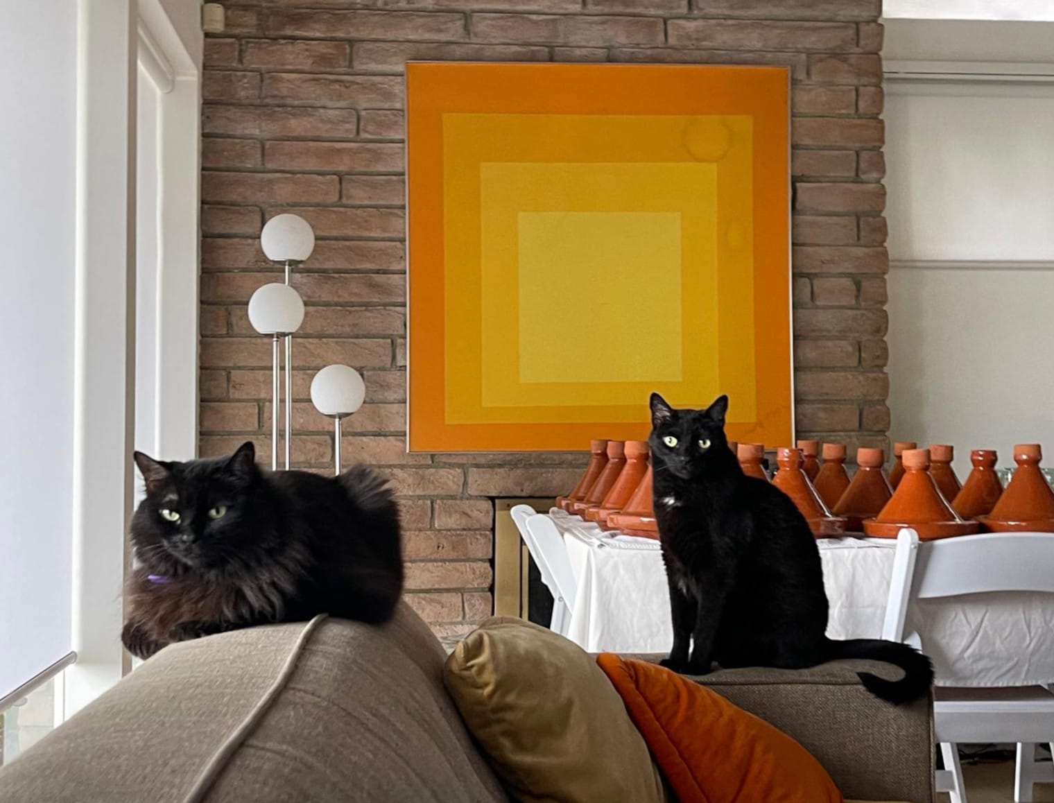 Two black cats, one fluffy, one sleek, in a modernist interior.