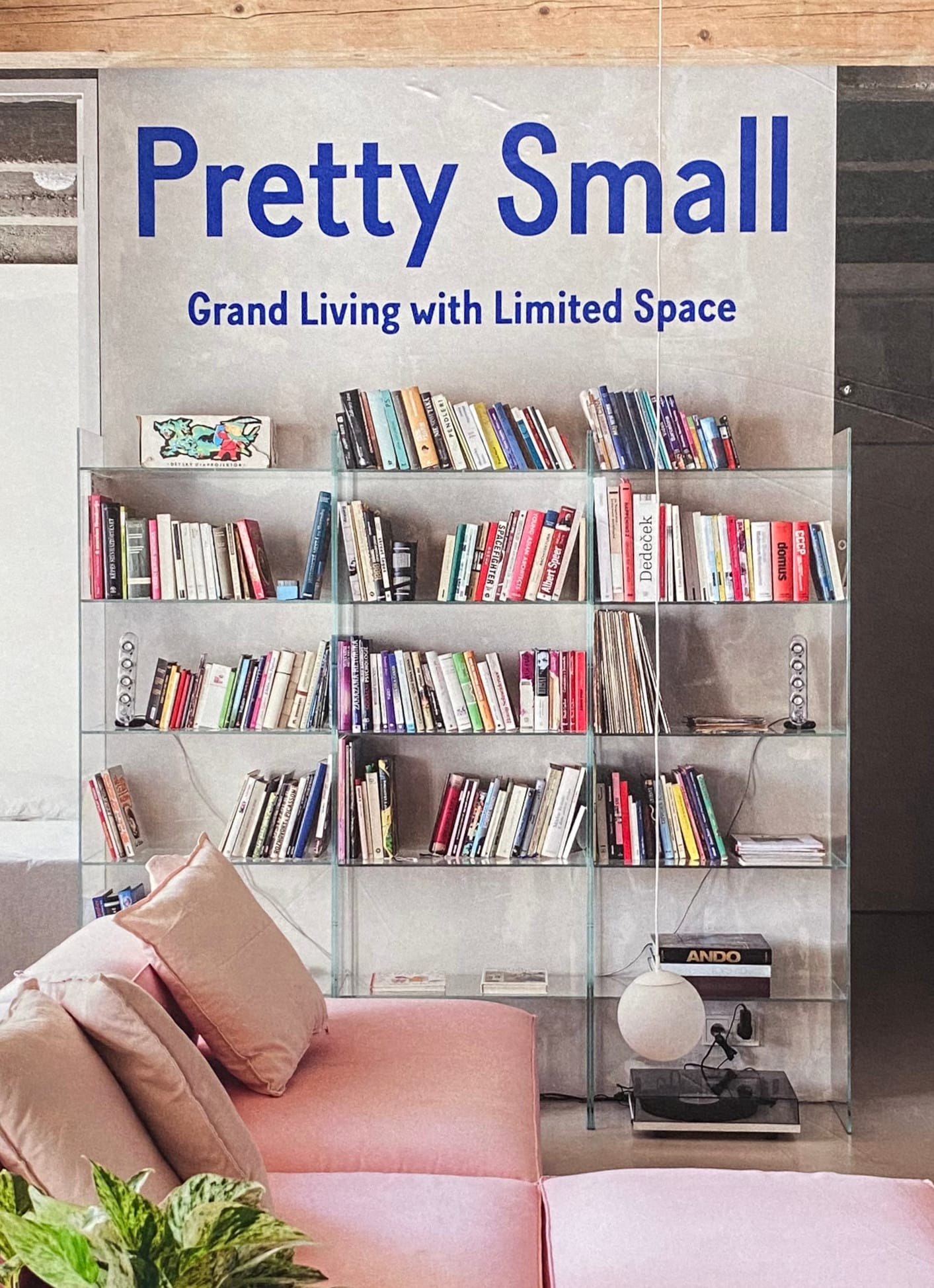 Detail of "Pretty Small" book cover, showing a bookcase with many books  leaning against one another.