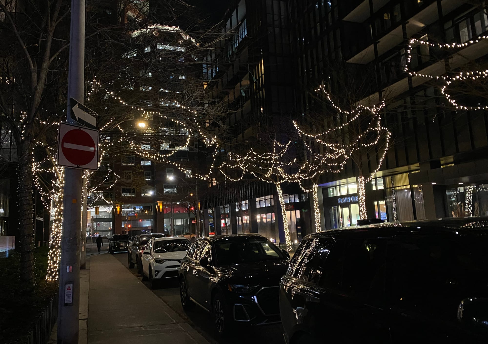 Dark street with strands of white Christmas lights on the trees.