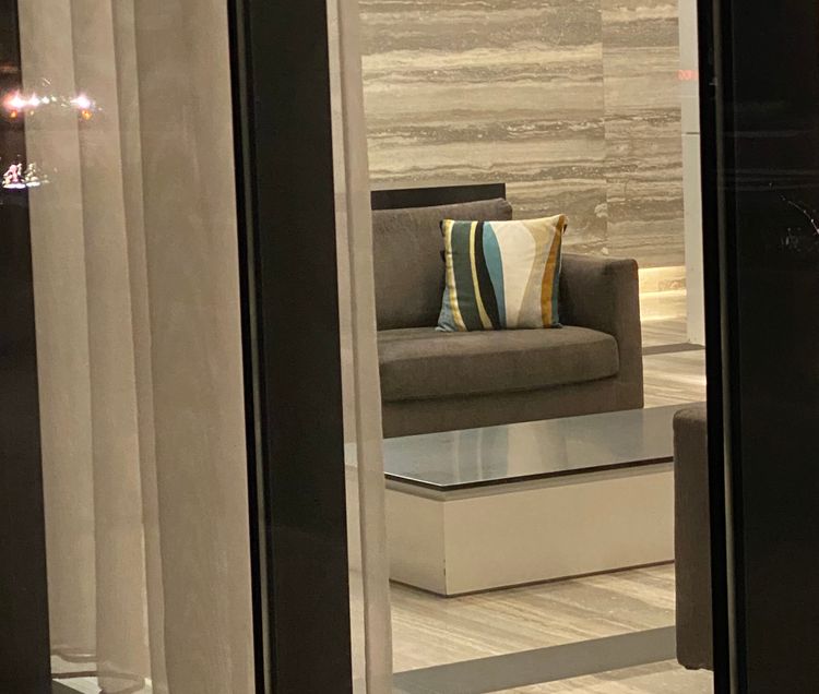 Close-up of sleek living room arrangement seen from the outside