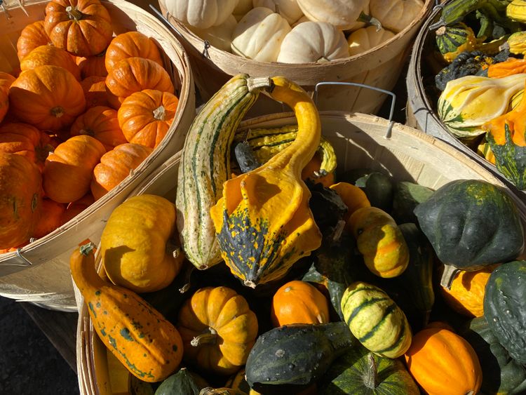 Baskets overflowing with gourds and miniature pumpkins.