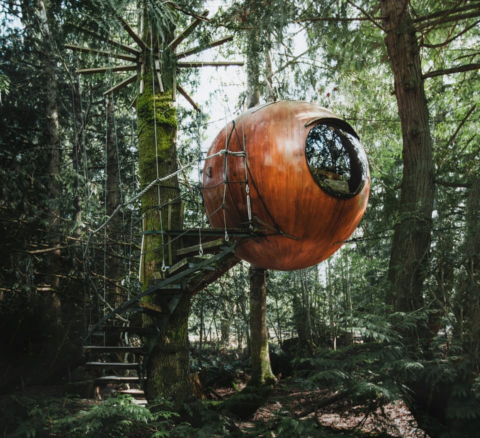 Spherical treehouse in a lush green forest.